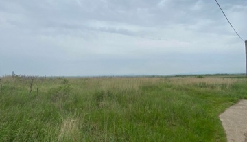 a1050-IntravilanViileSatu Mare03.JPG